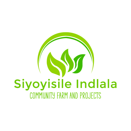 Siyoyisile Indlala — Pitch Platform logo